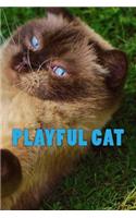 Playful Cat (Journal / Notebook)