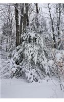 Snowy Forest Winter Weather Journal: (Notebook, Diary, Blank Book)