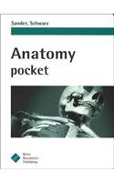 Anatomy Pocket