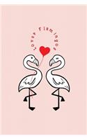 Lover Flamingos