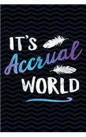 It's Accrual World: Funny Gag Gift for Accountant - Cute Accountancy Notebook - Office Gag Gifts for Accountants - Funny Accountant Gag Gifts for Men or Women - 6 x 9 W