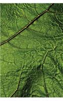 Leaf Veins Notebook: Blank Journal Diary Memoir Log Logue(31 Go Green 150 Lined)