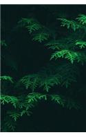 Conifer Notebook: Blank Journal Diary Memoir Log Logue(46 Go Green 150 Lined)