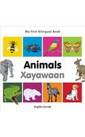 My First Bilingual Book-Animals (English-Somali)