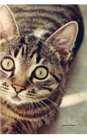 Journal Pages - Cats Eye(Unruled)