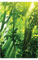 Sun-Streak Leaves Notebook: Blank Journal Diary Log(19 Go Green 150 Lined)