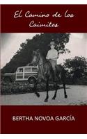 El camino de los caimitos