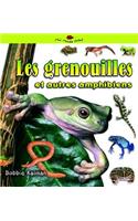 Les Grenouilles Et Autres Amphibiens