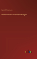 Unter Indianern und Riesenschlangen