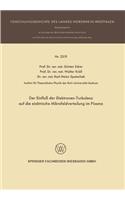 Der Einfluß der Elektronen-Turbulenz auf die elektrische Mikrofeldverteilung im Plasma