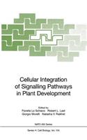 Cellular Integration of Signalling Pathways in Plant Development