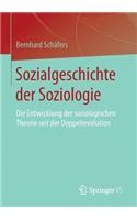 Sozialgeschichte der Soziologie