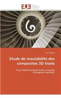 Etude de Moulabilité Des Composites 3D Tissés