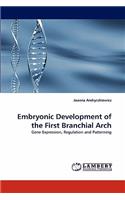 Embryonic Development of the First Branchial Arch