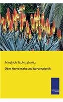 Ueber Nervennaht und Nervenplastik