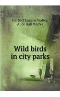 Wild birds in city parks