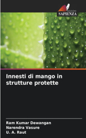 Innesti di mango in strutture protette