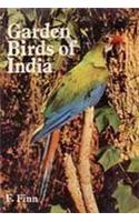 Garden Birds of India