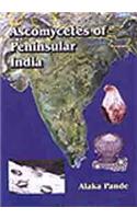 Ascomycetes of Peninsular India