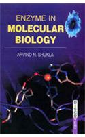 Enzyme in Molecular Biology