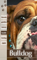 Bulldog: Dog Breed Guide