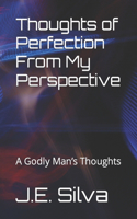 Thoughts of Perfection From My Perspective: A Godly Man's Thoughts