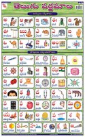 Teachingnest Telugu Alphabet Chart | Laminated 33X48 Cm (13X19 Inch) | Wall Sticking