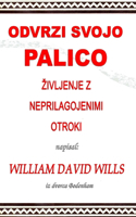 Odvrzi svojo palico - zivljenje z neprilagojenimi otroki