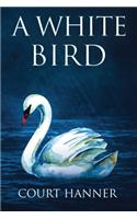 A White Bird