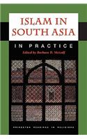 Islam in South Asia in Practice