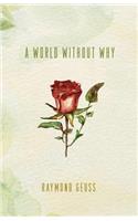 A World without Why