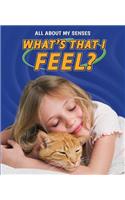 What's That I Feel?
