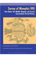 The Survey of Memphis VIII