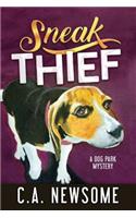 Sneak Thief