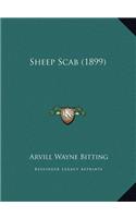 Sheep Scab (1899)