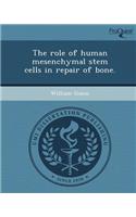 The Role of Human Mesenchymal Stem Cells in Repair of Bone