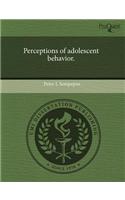 Perceptions of Adolescent Behavior