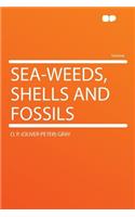 Sea-Weeds, Shells and Fossils