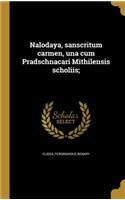 Nalodaya, sanscritum carmen, una cum Pradschnacari Mithilensis scholiis;