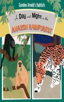 Day and Night in the Amazon Rainforest