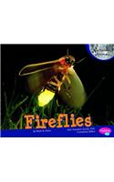 Fireflies