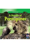 Prickle of Porcupines