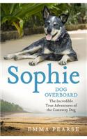 Sophie: dog overboard