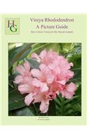 Vireya Rhododendron A Picture Guide