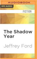Shadow Year