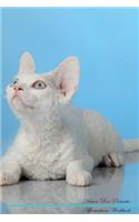Devon Rex Affirmations Workbook Devon Rex Presents: Positive and Loving Affirmations Workbook. Includes: Mentoring Questions, Guidance, Supporting You.