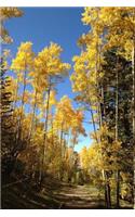 Following a Path Through a Golden Aspen Tree Forest in the Fall Journal