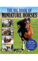Big Book of Miniature Horses