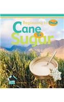Cane to Sugar