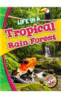 Life in a Tropical Rain Forest